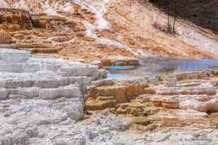 Mammoth Hot Springs-7695.jpg